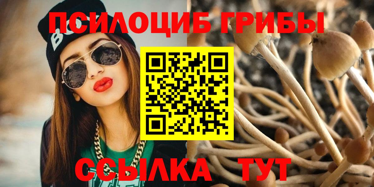 Новомосковск  Псилоцибиновые грибы MAGIC MUSHROOMS  Вход с VPN 